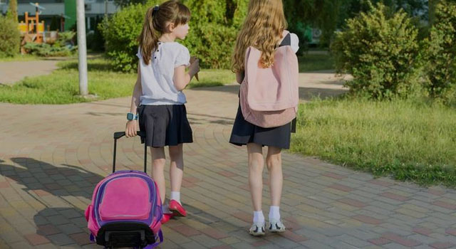 Trolley-Tasche